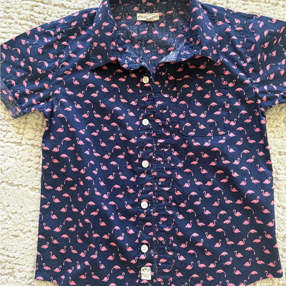 Appaman Blue and Pink Button Down Shirt